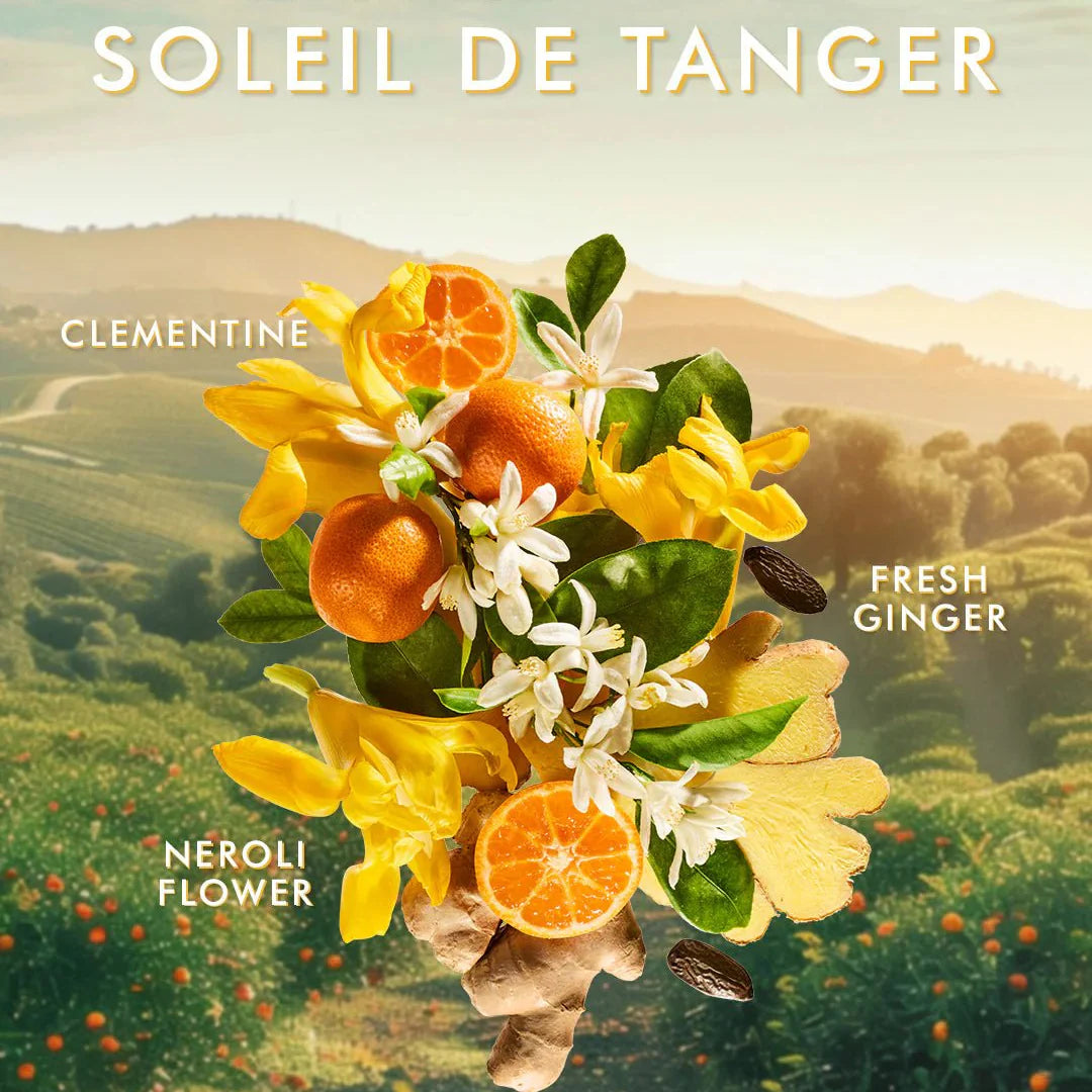 Moroccanoil Hand Cream 100ml – Luxe verzorging in 5 geuren